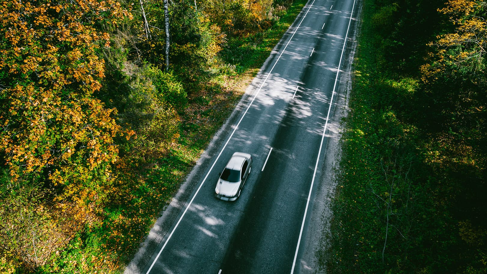 aerial-view-of-autumn-road-with-colorful-trees-in-2025-03-18-15-28-01-utc-16-9 aerial-view-of-autumn-road-with-colorful-trees-in-2025-03-18-15-28-01-utc-16-9