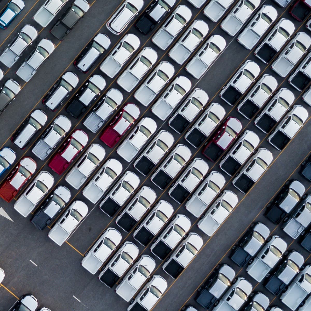 Fleet vehicles arranged in rows representing fleet management operations Fleet vehicles arranged in rows representing fleet management operations